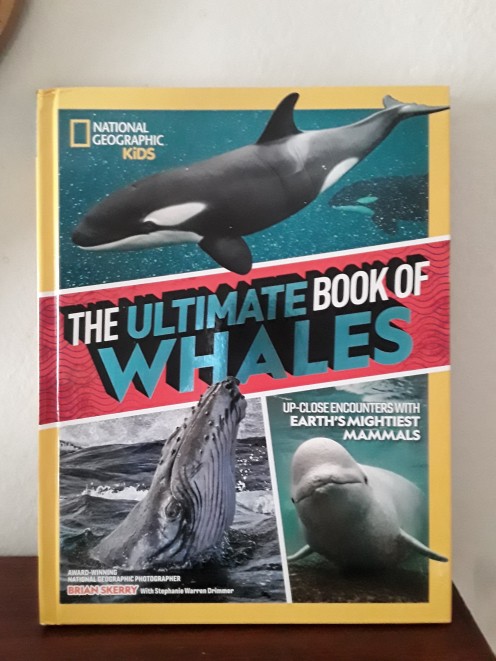 The giants in our oceans