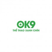 ok9foundation profile image