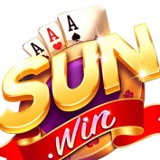 md5sunwin profile image