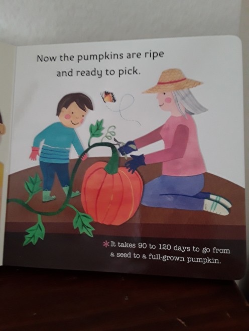 Time to pick your pumpkin