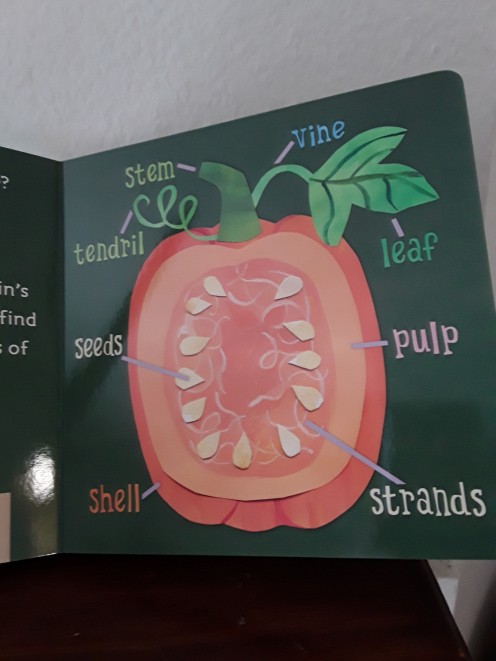 What's inside a pumpkin?