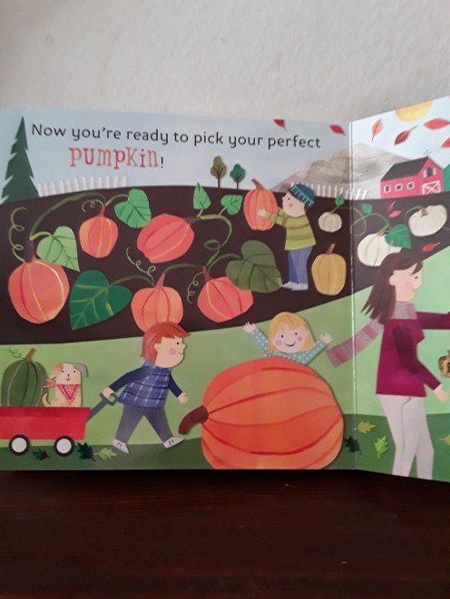 Pumpkins everywhere
