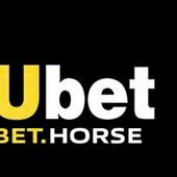 hubethorse3 profile image