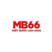 mb66tlcom profile image