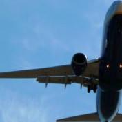 jisooliu profile image