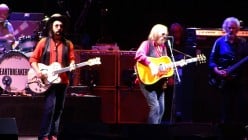 50 Best Country Songs About Wildflowers