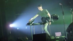 50 Best Jungle Songs for IG Reels & Stories