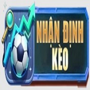 nhacainhandin profile image