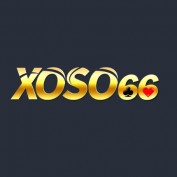 xoso66vnbiz profile image