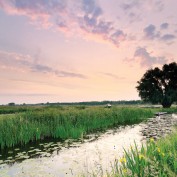 nigelsinclair profile image