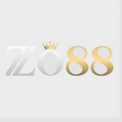 zo88sbs profile image