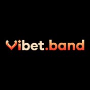 vibetband1 profile image