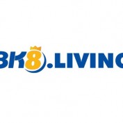 wwwbk8vncom profile image