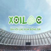 xoilac79tech profile image