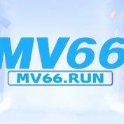 mv66run profile image