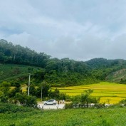 pandada profile image