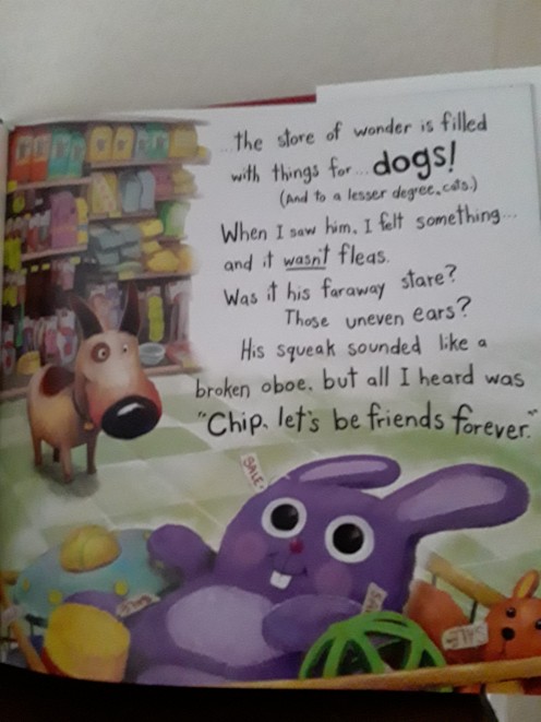 The day Chip received Mr. Cuddles