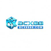 BCX88 profile image