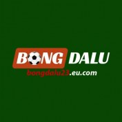 kncbongdalu23eu profile image