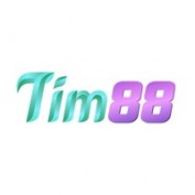 tim88com1 profile image