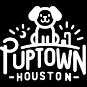 houstonpuppytraining profile image