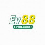 ev88codes profile image