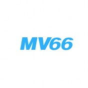 mv66io profile image