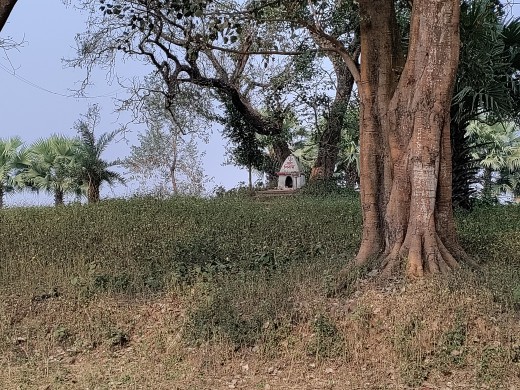 The mound with a small structure known as "Baro Kona Deul" The mound with a small structure known as "Baro Kona Deul"