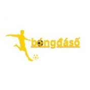 bongdasolove profile image