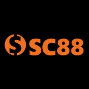 sc88vnnet profile image