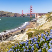 wendy-horton profile image