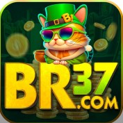 br37betorg profile image