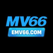 emv66com profile image