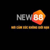 new8885com profile image