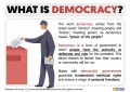 Our Democracies have Failed