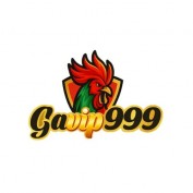 gavip9999com profile image