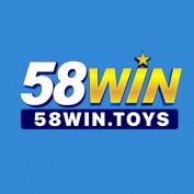 nc58wintoys profile image