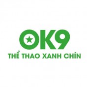 ok9tours1 profile image