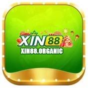 xin88organic profile image