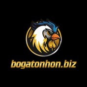 bogatonhonbiz profile image