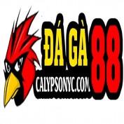 daga88caly profile image