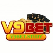 v9betstudy profile image