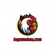 bogatonhoncasa profile image