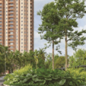 nambiardis25 profile image