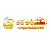 sodocasino66com profile image