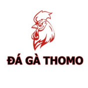 dagathomovncom profile image