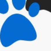 dogcollar11 profile image