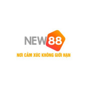 new88land2 profile image