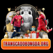 trangcdbdorg profile image
