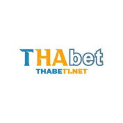 thabet1net profile image